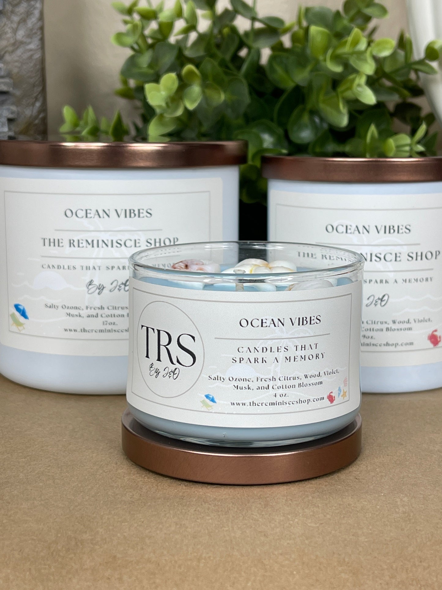 Ocean Vibes 4oz.