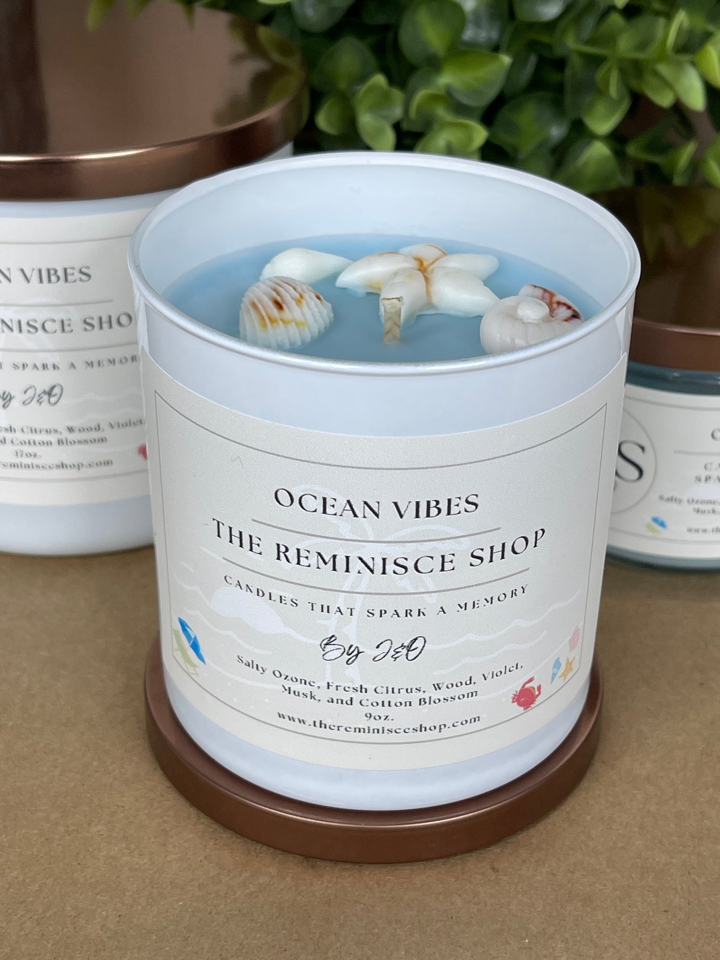Ocean Vibes 9oz.