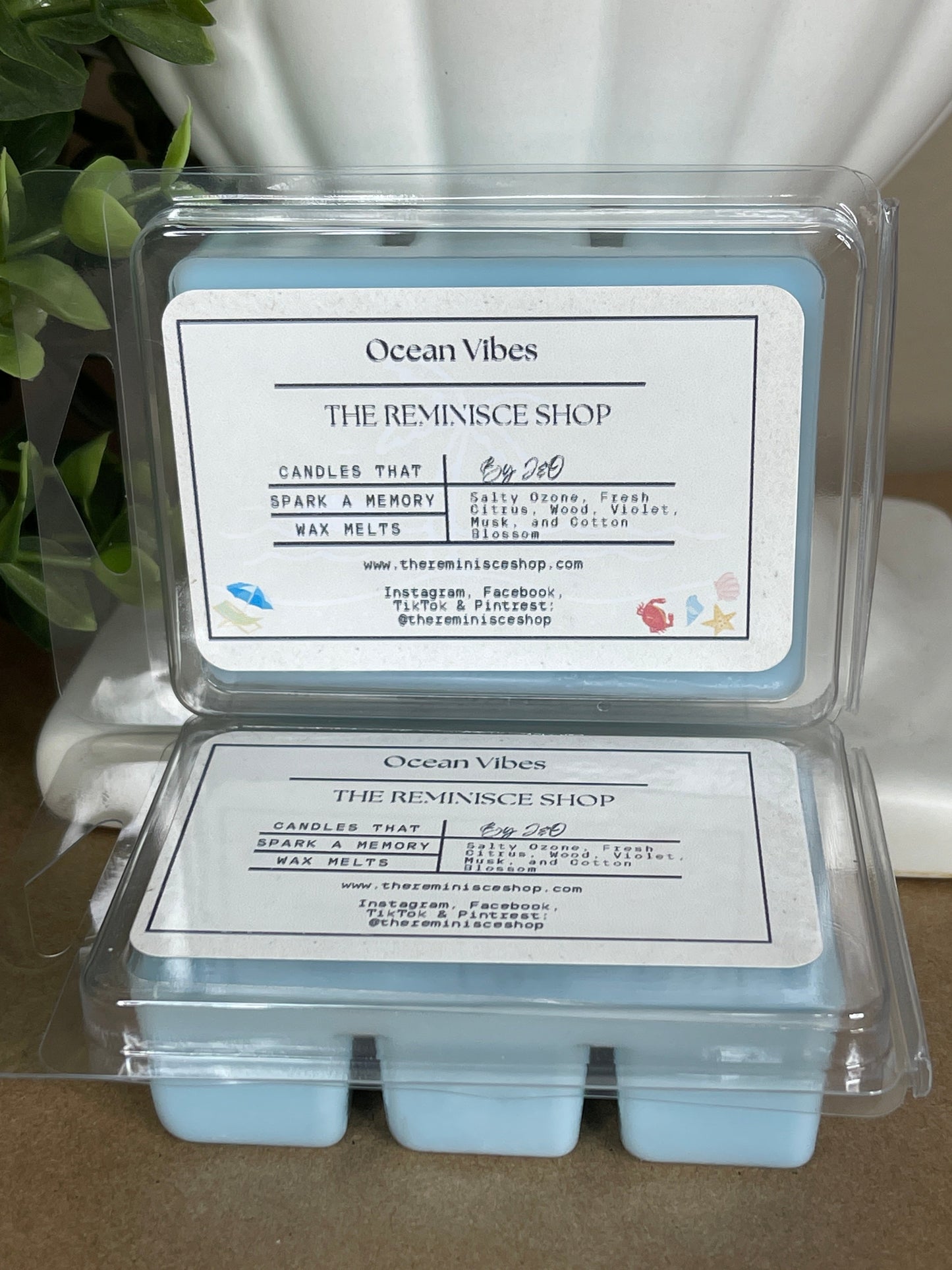 Ocean Vibes Wax Melts
