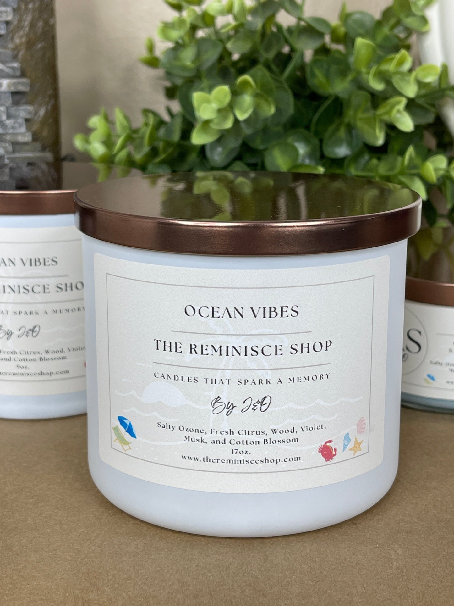 Ocean Vibes 17oz.